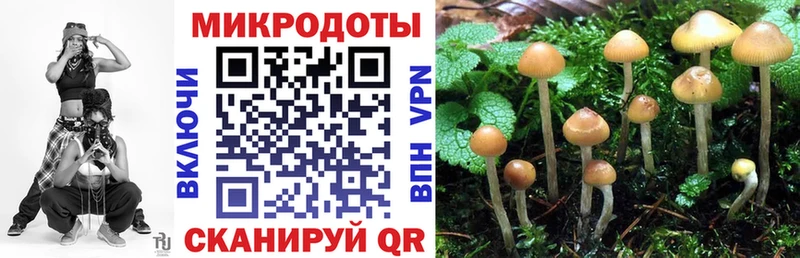 Галлюциногенные грибы ЛСД  Туран 