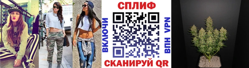 где продают наркотики  Туран  Бошки Шишки индика 